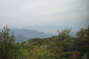 山间葱郁景致