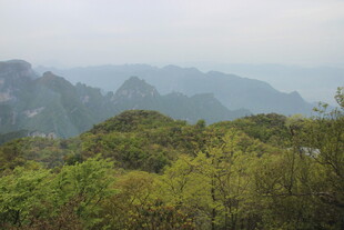 山峦绿意浓景