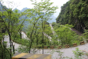 山间蜿蜒小路 绿树环绕