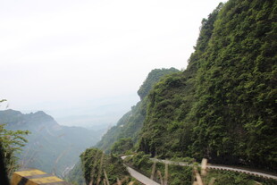 山间栈道 绿意盎然的景致