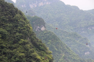 山间缆车穿梭于翠绿山峦