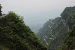 山间蜿蜒公路 绿意盎然