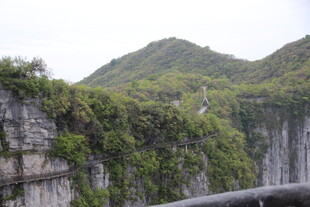 壮丽山壁绿植景观