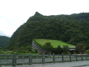 山间公路旁的绿意景致