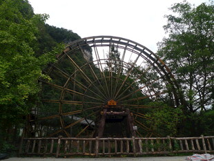 公园中的大型摩天轮景观