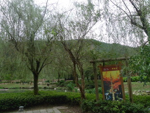 公园中的休闲景致