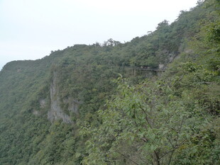 青山葱郁的陡峭山壁