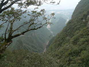 山间峡谷风景
