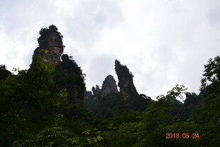 奇峰耸立的壮美山林景观