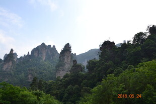 奇峰林立的山林景观