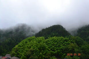 云雾缭绕的翠绿山峦