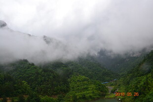 云雾缭绕的翠绿山间美景