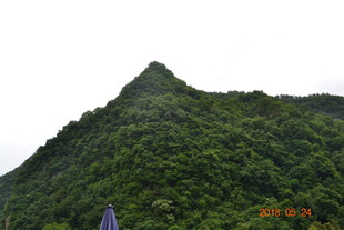 翠绿山峦 尽显自然生机