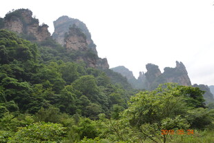 奇峰林立的翠绿山林