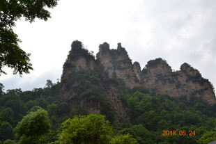 奇峰耸立于绿意山林间