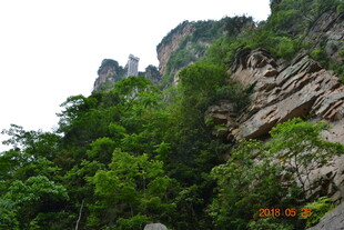峻峭山峦伴葱郁植被