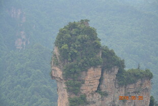 奇峰屹立于山林间