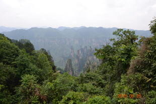 张家界奇峰异林景观