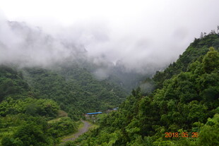 山间云雾缭绕的翠绿景致