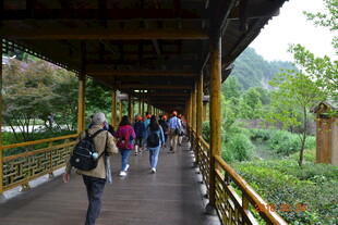 游客漫步木质长廊赏景