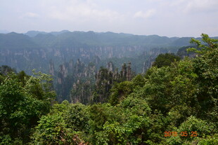 山林葱郁的自然景观