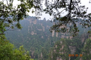 山林葱郁的壮美自然景观