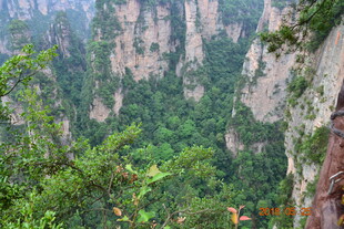 张家界奇峰异林景观