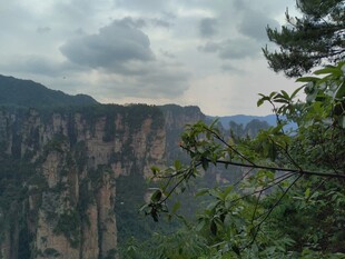 壮丽山峦间的绿意景致