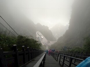 雾中栈道景色
