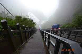 雾中栈道骑行者