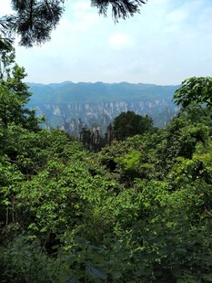 山林间远眺城市风光