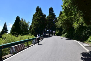山间骑行路 绿意伴前行