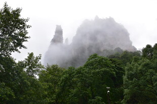 云雾缭绕的山林景观
