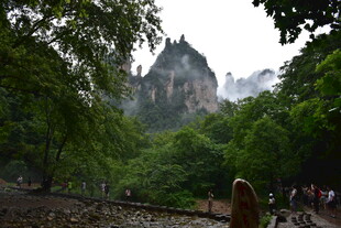 张家界山林间的秀丽风光