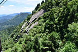 山间绿意盎然的秀丽景致
