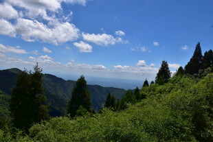 山间美景 蓝天白云绿树