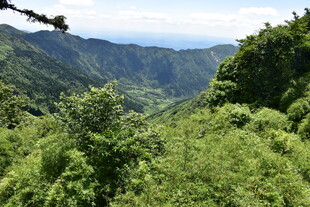 翠绿山谷间的自然美景
