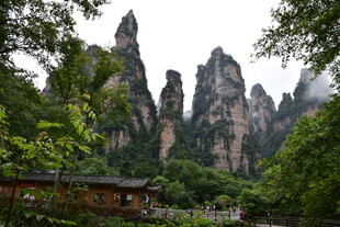 张家界奇峰美景
