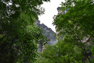 山林间的巍峨奇峰