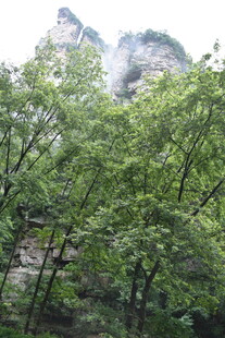 山林葱郁间的秀丽山峰