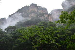 云雾缭绕的山林美景