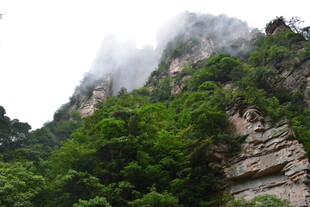 云雾缭绕的翠绿山峰