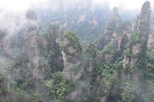 云雾缭绕的张家界奇峰