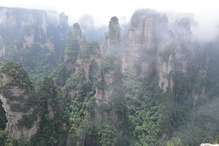 张家界奇峰美景