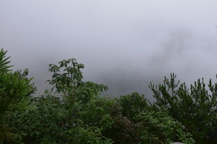 山林云雾缭绕的自然景致