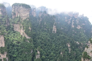 张家界奇峰林立美景