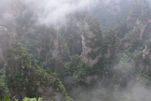 云雾缭绕的壮美山林景观