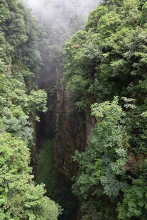 山间峡谷绿意盎然的景致