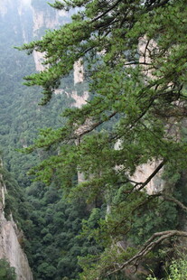 山间绿意盎然的峭壁景色