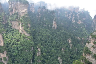 张家界奇峰异林壮美景观